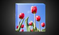 Vwebmedia - Custom Framing & Mounting image 4