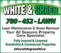 WHITE & GREEN LTD image 1