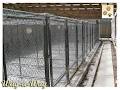 Wag-A-Way Kennels Ltd image 3