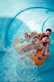 Wild Water Kingdom - The Cove image 2