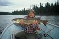 Wilderness Fishing Yukon image 4