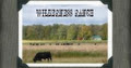 Wilderness Ranch Black Angus Beef logo