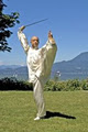 Wushu Taiji QiGong Self-defense logo