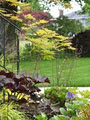 five elements landscaping ltd. image 2