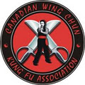 wing chun punch club image 2