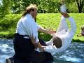 Aikido Rive Sud Dojoista Internationale School image 5