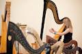 Andrew Chan, Harpist + Harp Teacher image 2