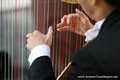 Andrew Chan, Harpist + Harp Teacher logo