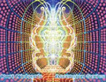 Ascension Series image 4