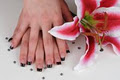 Bellissimo Nails & Esthetics image 6