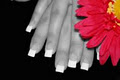 Bellissimo Nails & Esthetics logo