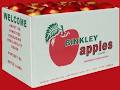Binkley Apples Ltd image 2