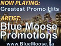 Blue Moose Promotions image 1
