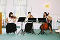 Cadenza Strings image 1