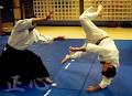 Calgary Aikido at Masa Kokoro image 5