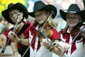 Calgary Fiddlers Association image 2