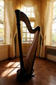 Chantal Dube the Harpist image 2
