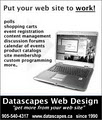 Datascapes Web Design image 1