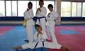 Elite Tae Kwon Do image 5