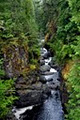 Englishman River Falls Provincial Park image 1