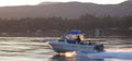 Experience Sooke - Whale Watching & Marine Wildlife Tours image 2
