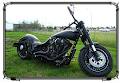 Extreme Choppers image 1