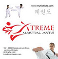 Extreme Martial Arts image 2