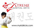 Extreme Martial Arts logo