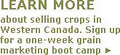 FarmLink Marketing Solutions | Saskatoon Crop Marketing Experts image 3