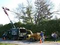 Kelly Tree Service image 3