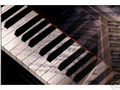 Makkreel Piano Company Limited image 5