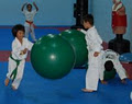 Master Seung's Taekwondo Martial Arts image 3