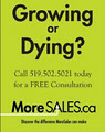 MoreSALES.ca logo