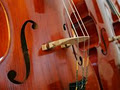 Peter Dawson Violins | Ottawa image 3