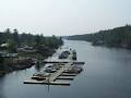 Pickerel River Marina image 1