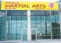 Pinnacle Martial Arts Academy Inc image 3