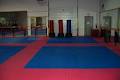 Pinnacle Martial Arts Academy Inc image 5