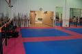 Pinnacle Martial Arts Academy Inc image 6