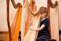Professional Harpist, Harp Teacher, Toronto image 4