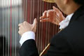 Professional Harpist, Harp Teacher, Toronto image 1