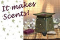 Scentsy Independent Consultant - Manitoba image 4