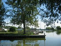 South Simcoe Marina image 3