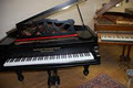 Steve Jackson Pianos Ltd. image 2