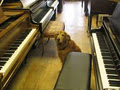 Steve Jackson Pianos Ltd. image 1
