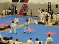 Tecumseh Tae Kwon-Do Society image 2