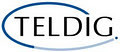 TelDig Systems inc logo
