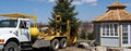 Treemaster Ltd. image 5