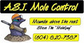 A.S.J. Mole Control image 4