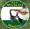 All Wildlife Removal image 1