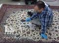 Amir's Rug Gallery image 1